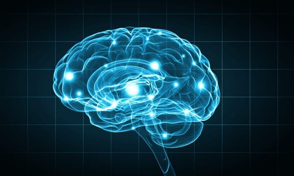 AI Search Engine